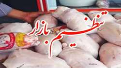 توزیع ۳/۵ تن مرغ منجمد در لنده